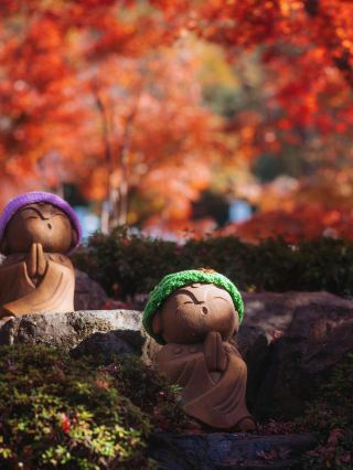 Nikko | 100 times less popular than Kyoto, it's a part of Japan you've never been to.