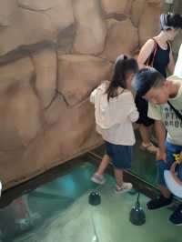 秦嶺野生動物園。