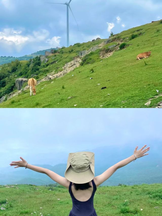 江西人自己的瑞士花園｜比武功山更美值得一遊。