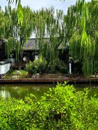 游山東-魯N·德州。