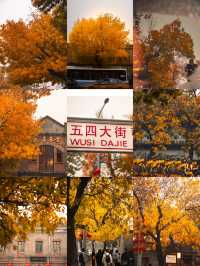 北平之秋便是天堂。