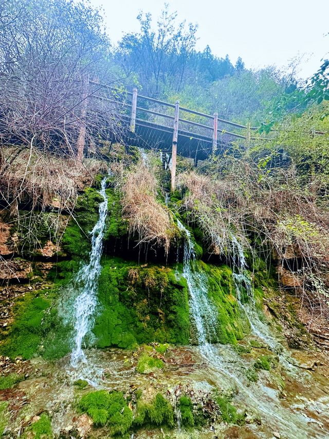濰坊青州黃花溪 | 絕美秋景，邂逅自然之美。