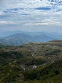 放棄武功山了，廣東這個高山大草甸太絕了。