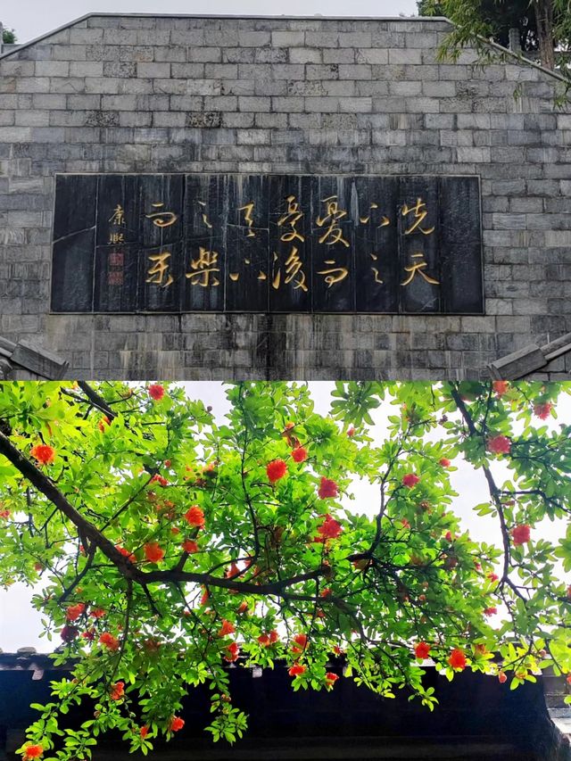 南陽寶藏地，來南陽總要來一趟花洲書院！！！。