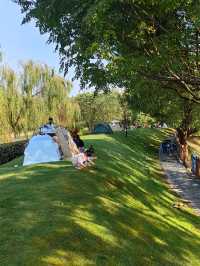 可以衝嘉北郊野公園的稻田（附保姆級攻略）。