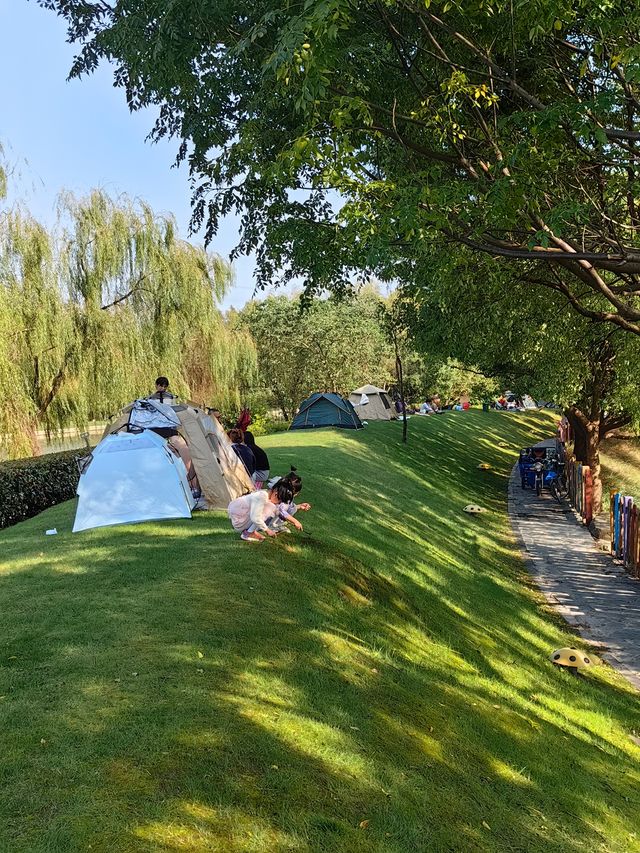 可以衝嘉北郊野公園的稻田（附保姆級攻略）。