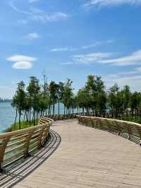 東莞小眾 citywalk 秋日浪漫指南。