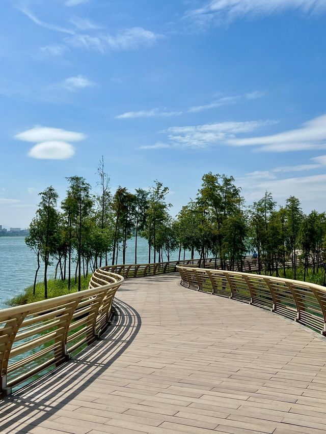 東莞小眾 citywalk 秋日浪漫指南。