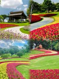 前海桂灣公園：城市中的自然童話。