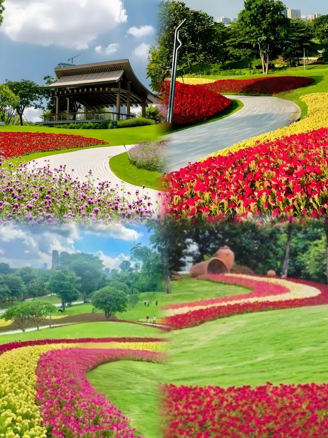 前海桂灣公園：城市中的自然童話。