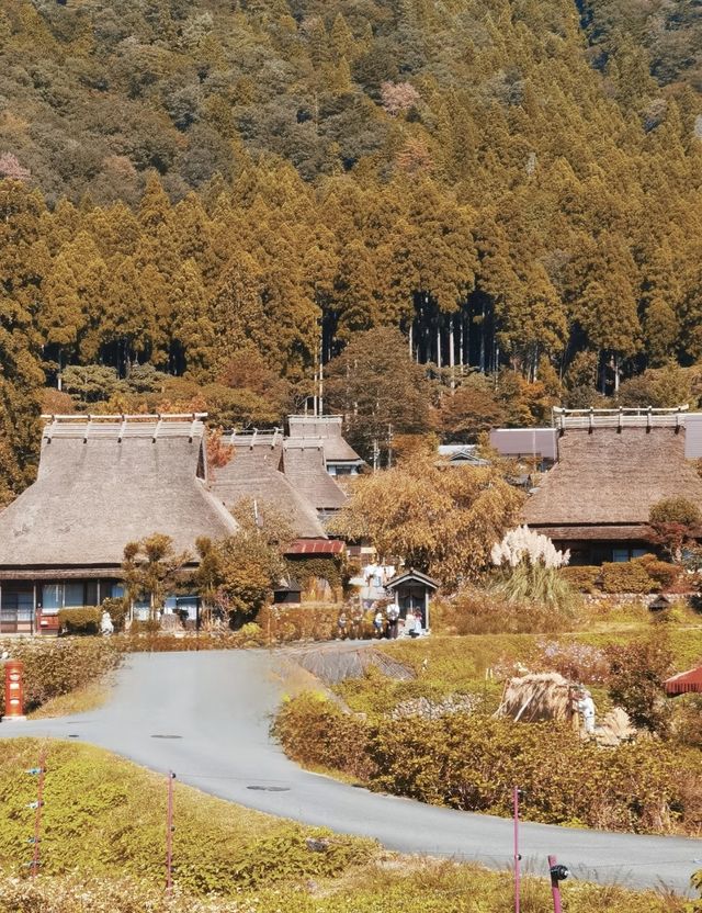 京都小眾郊區-美山町，你還不去嗎？