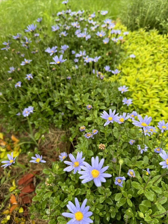 住在景區裡，行在蘆花間｜沙家浜花間亭·蘆花灣酒店。