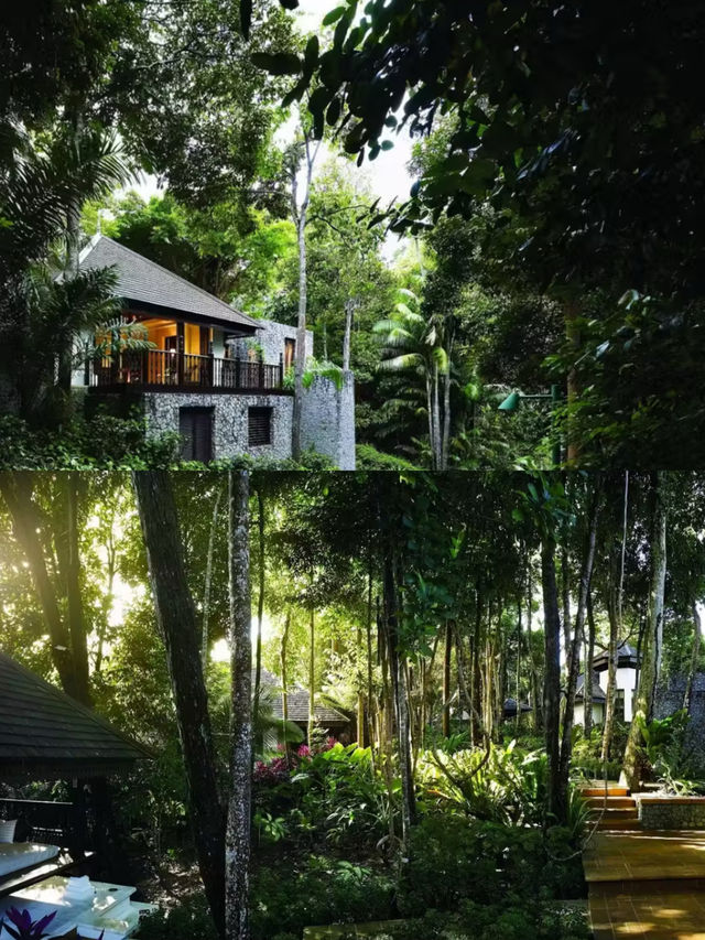 綠中海度假村 | 南洋綠境中的奢華綺夢 。