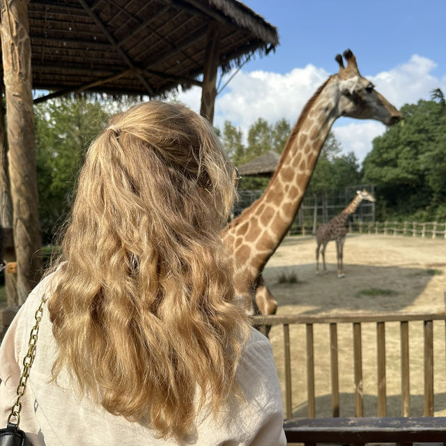 Short, but wonderful Shanghai trip!