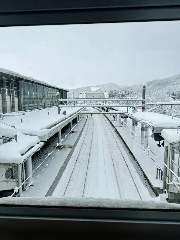 Experience the Enchanting Snowy Wonderland of Japan