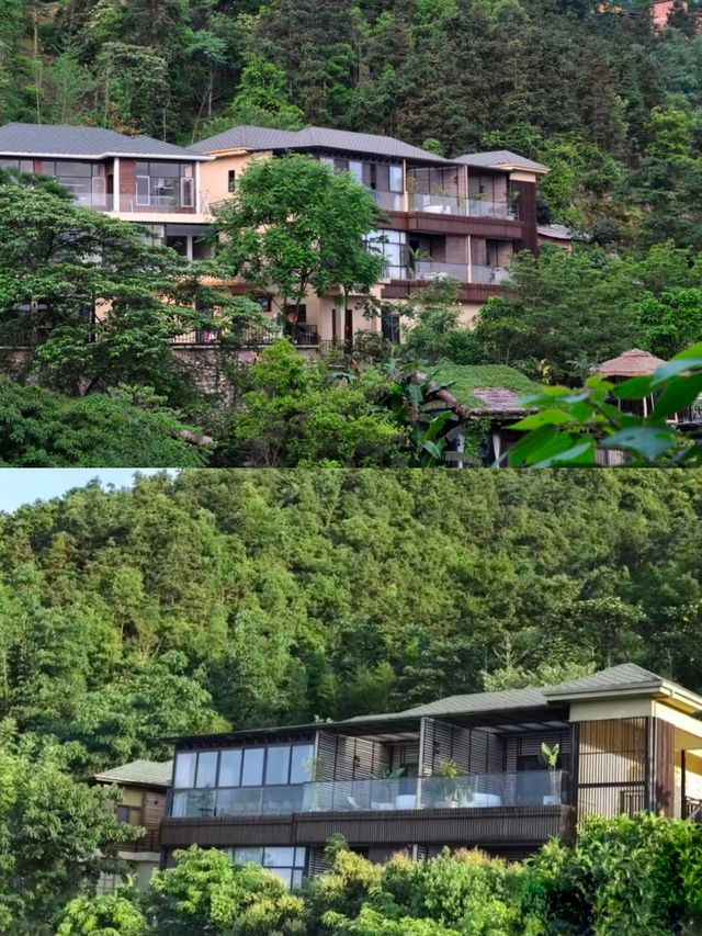 住在上林大明山海拔300米的秘境山谷裡。