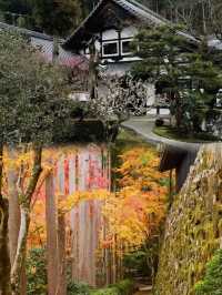 京都 | Aman kyoto 將迎來一年中最美的時刻。