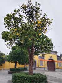 樓台煙雨中——重元寺。