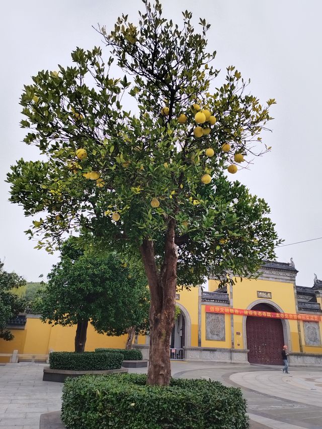 樓台煙雨中——重元寺。