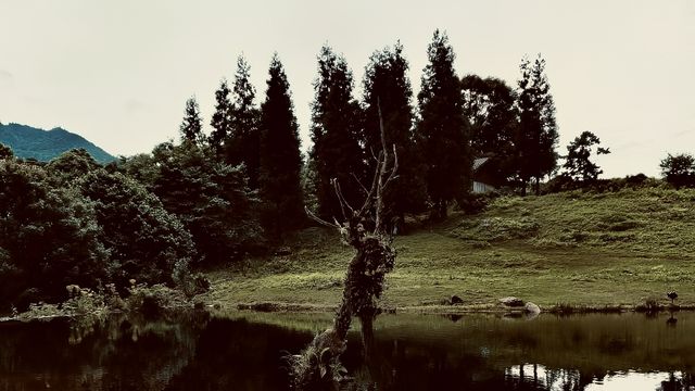仿佛走到了那個遠方。