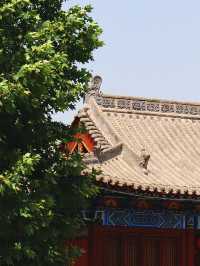 成都一日遊，雲頂山賞銀杏遊玩攻略。