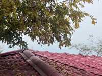 今天給大家推薦青島的唐島灣公園呀。