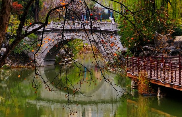 周末好去處——興慶公園。