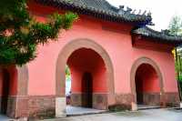 南郊公園｜一處隱藏在都市中的古色古香