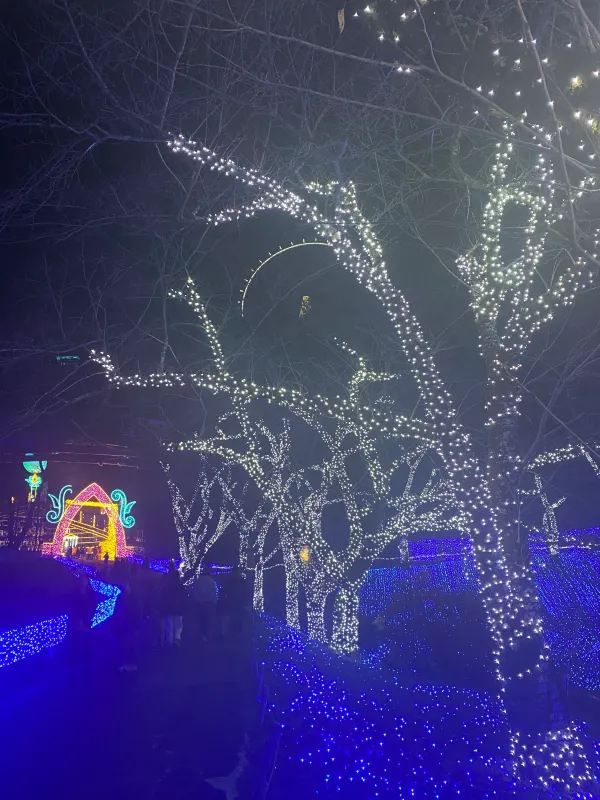 Visited the Sagamiko Light Show!!