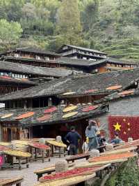 溫州「小婺源」，人生建議看一次曬秋吧