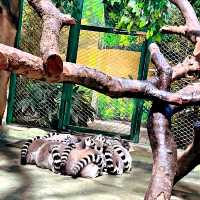 打卡／長春動植物公園