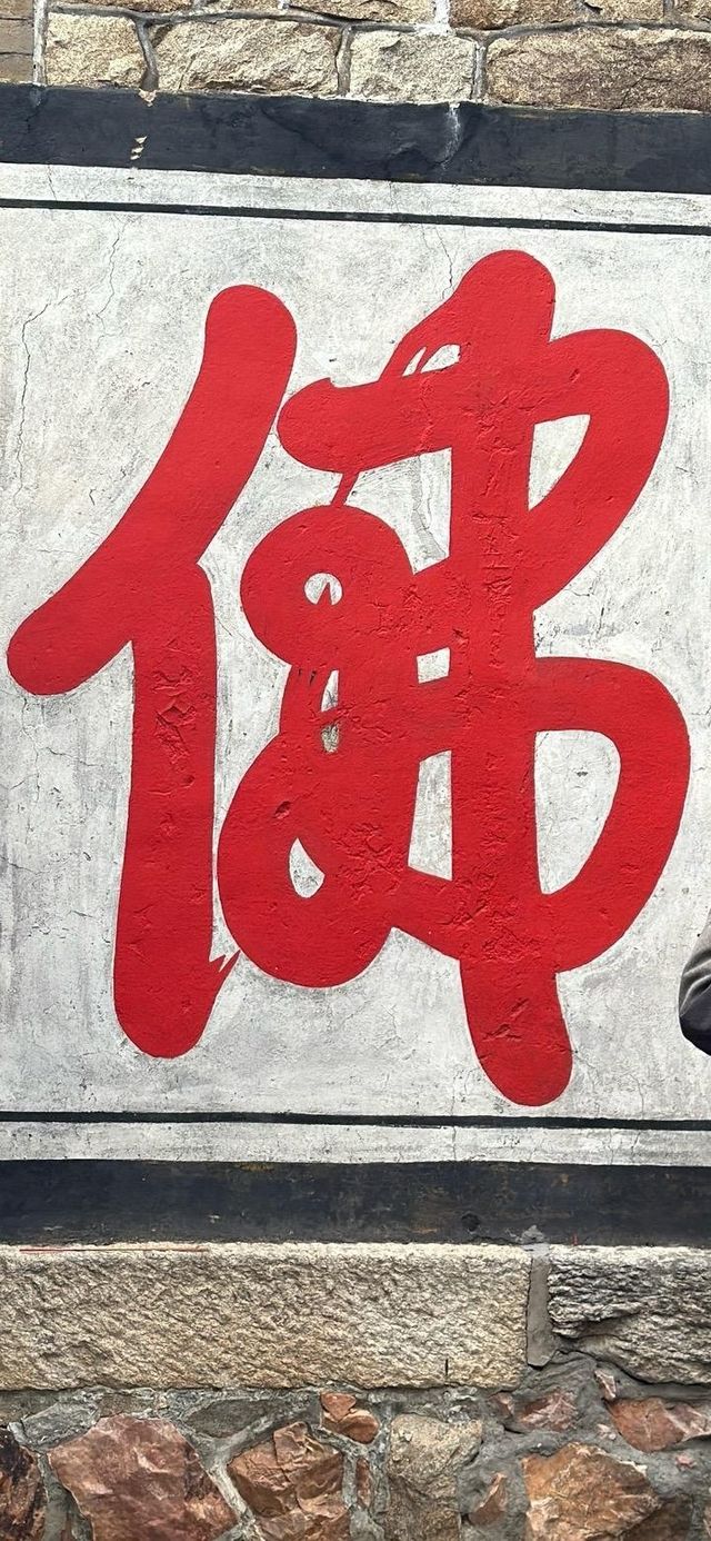 遼寧丹東|大孤山•看看這千年銀杏樹