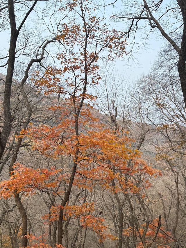 打卡琅琊山醉翁亭