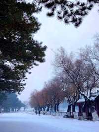震驚我了南湖公園沉睡了一條龍
