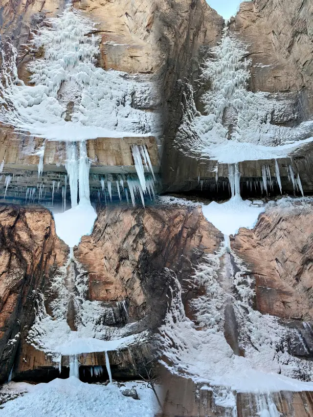 A hidden winter wonderland in Henan | The Christmas tree ice waterfall in the Taihang Grand Canyon