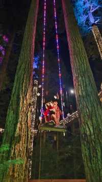 Capilano Suspension Bridge Park's Light Show