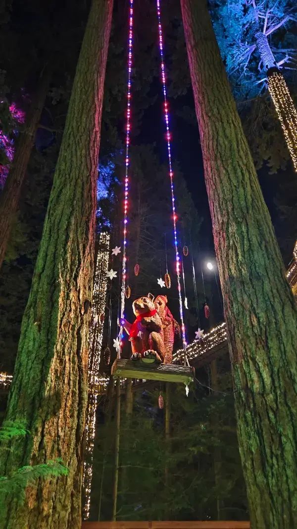 Capilano Suspension Bridge Park's Light Show