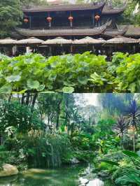 在四川成都，感受人民公園的悠閒生活氛圍