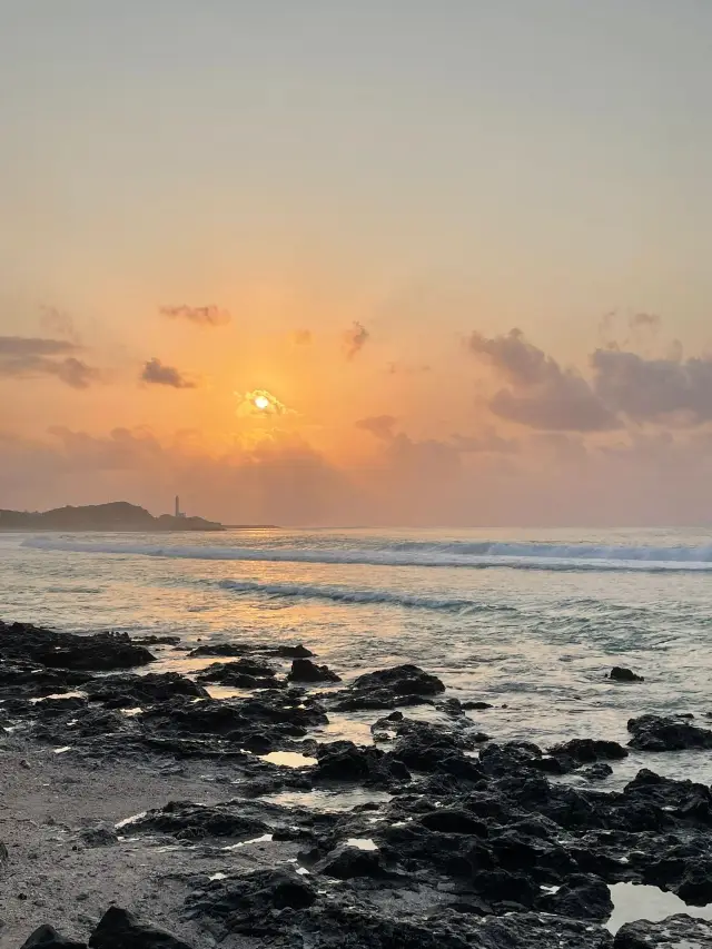 호주 4일 여행 필수 관광지 총정리