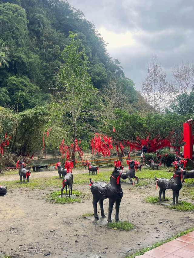 대만에서 소원을 적어 천등을 날려보세요🏮