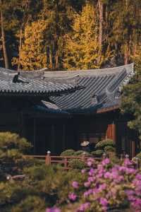 韶關雲門寺 | 佛國山川間，唐風庭院深