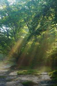 山與水