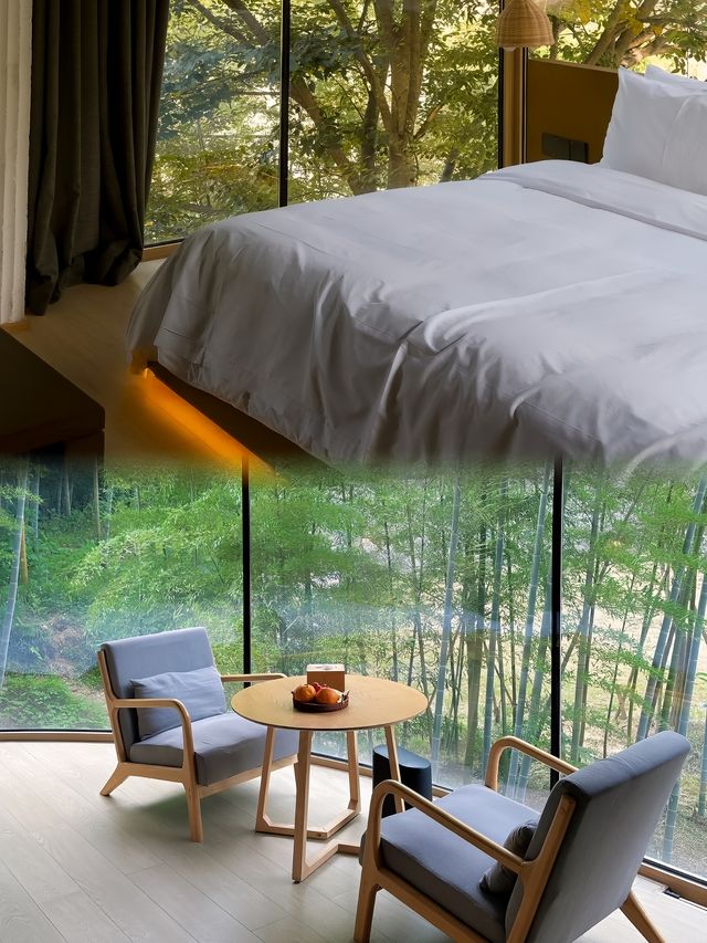 為了這個窗景，我住進了莫干山的山林竹海