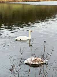 A Day Trip to Castle Howard in York