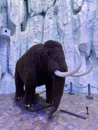 原來極地公園還可以這麼玩 