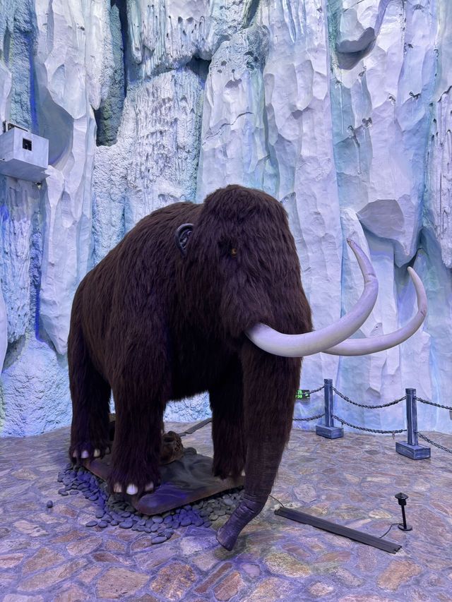 原來極地公園還可以這麼玩 