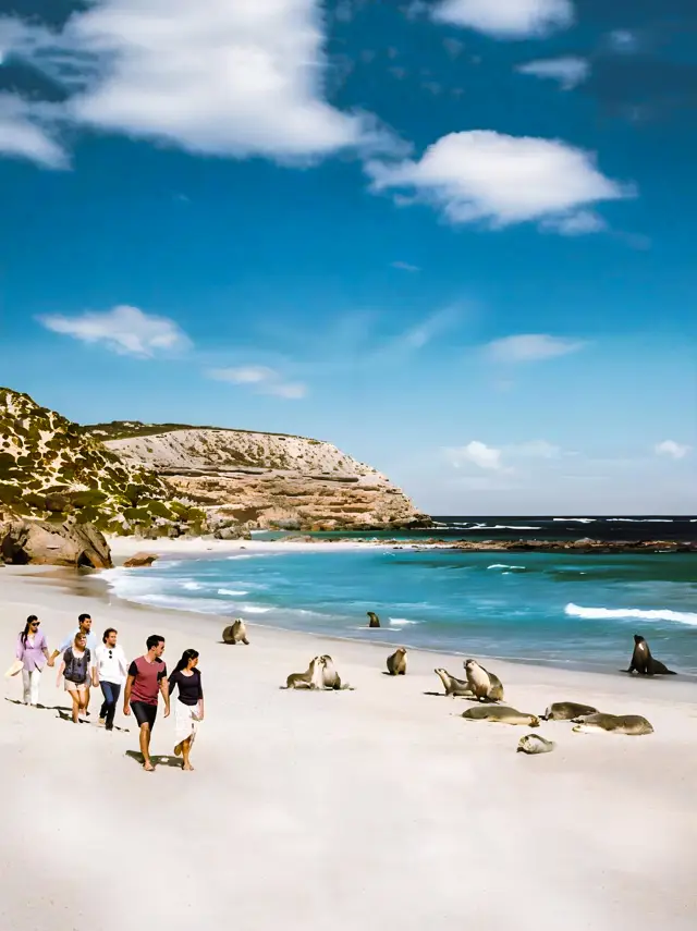 Ultimate Guide to Exploring South Australia!