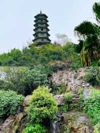 探秘廣西柳州蟠龍山，隱藏的仙境等你來發現！
