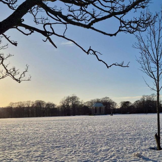 闖入阿伯丁的綠野仙蹤：Duthie Park