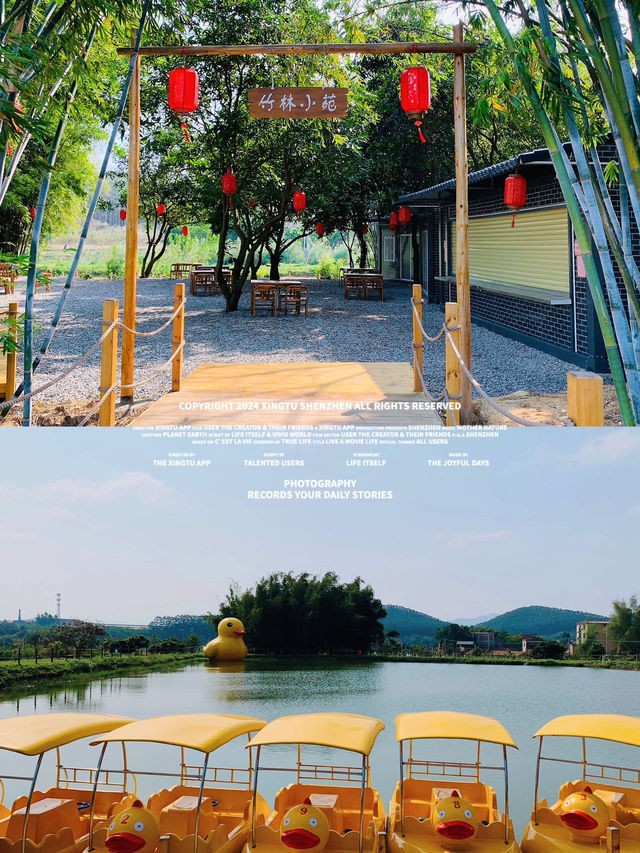 高明反向旅游‼️情人節迎五福好运连连